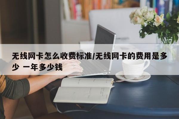 无线网卡怎么收费标准/无线网卡的费用是多少 一年多少钱