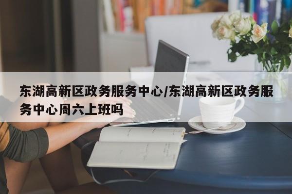 东湖高新区政务服务中心/东湖高新区政务服务中心周六上班吗